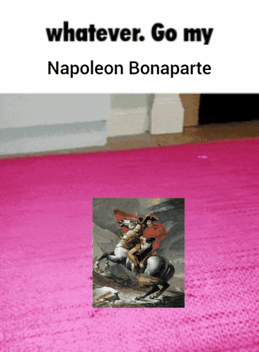 a picture of napoleon bonaparte is on a pink rug