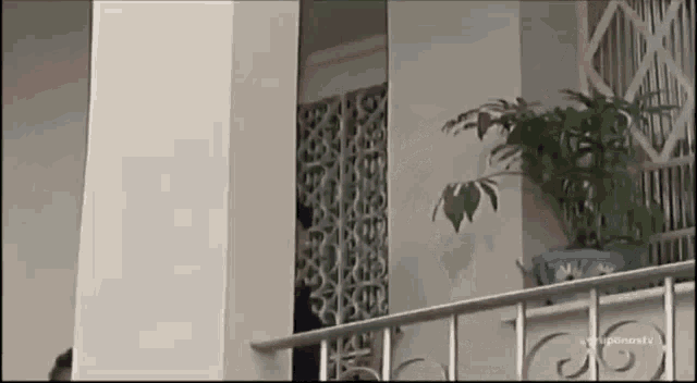 a plant is sitting on a balcony next to a fence and a white wall .