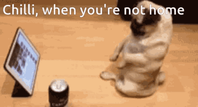 Not Home GIF