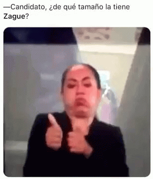 Zague Candidato GIF - Zague Candidato Sign Language GIFs