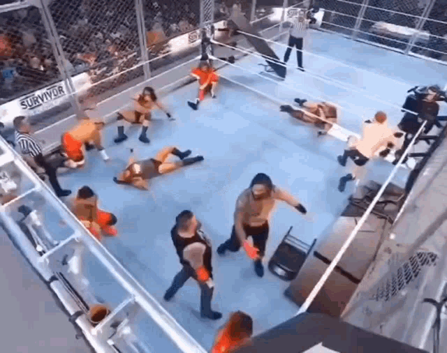 a wrestling ring with the word survivor on it