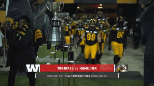 Hamilton Tiger Cats Grey Cup GIF - Hamilton Tiger Cats Tiger Cats Grey Cup GIFs