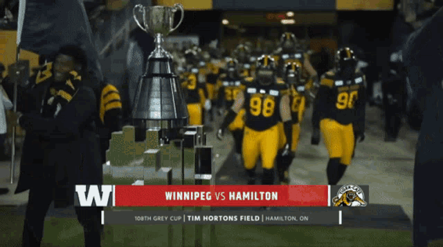 a winnipeg vs hamilton football game is being played at tim hortons field