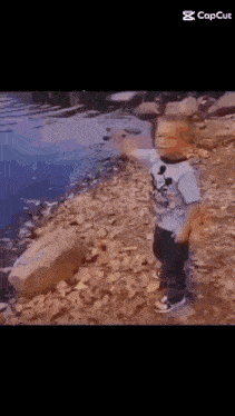 a young boy in a mickey mouse shirt is standing on the shore of a lake .