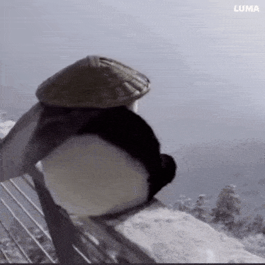 a panda bear wearing a hat is standing on a railing .