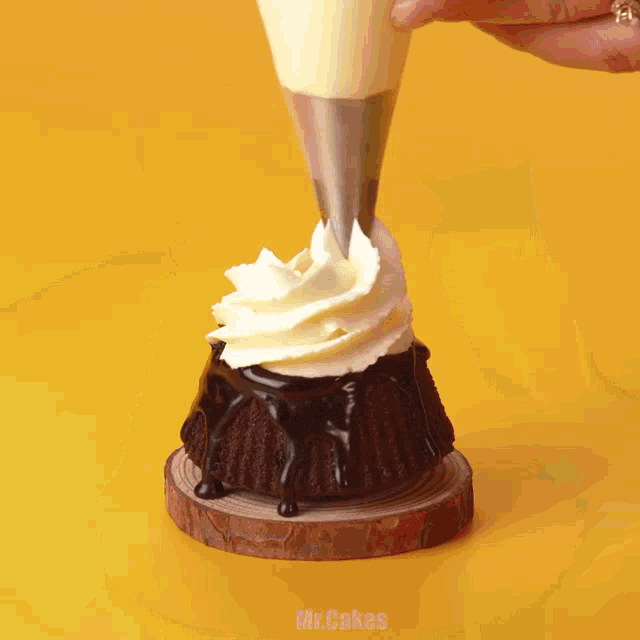 a chocolate cupcake with whipped cream and a mint on top