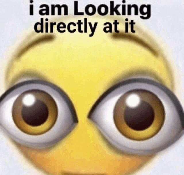 a yellow smiley face with big brown eyes and the words `` i am looking directly at it '' .