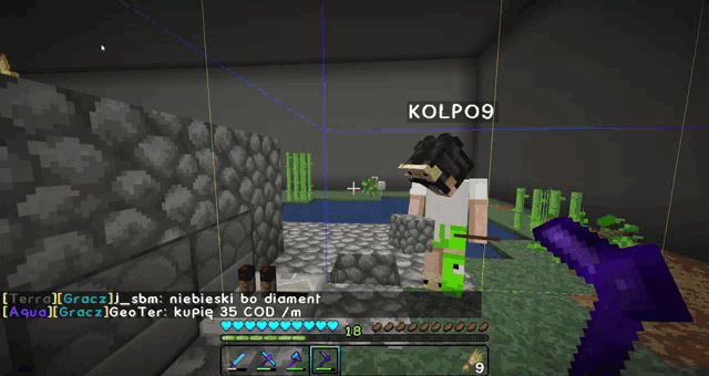 a screenshot of a video game with the name kolpo9 on the top