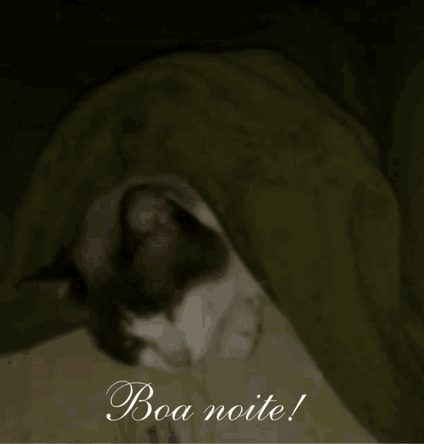 a cat laying under a green blanket with the words boa noite written on the bottom