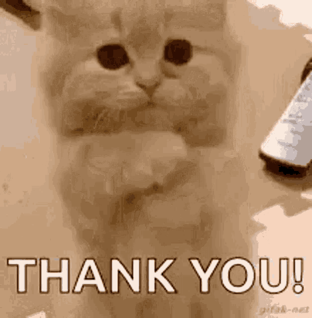 The Thank GIF - The Thank You GIFs