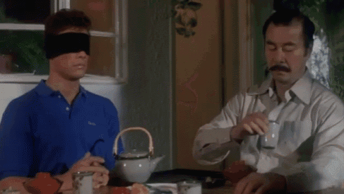 When Interviewing Someone That Wants To Be On Your Startup Team.  GIF - Blindfold Interview Defense GIFs