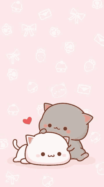 a gray and a white cat are laying next to each other on a pink background .