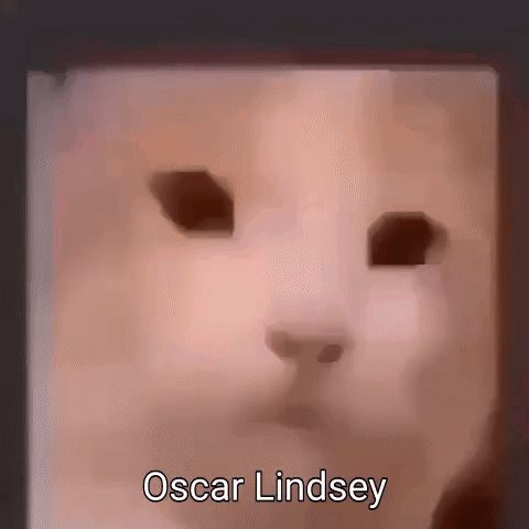 Oscar Lindsey Oscar Cat GIF - Oscar Lindsey Oscar Cat Oscar Lindsey Cat Cube GIFs