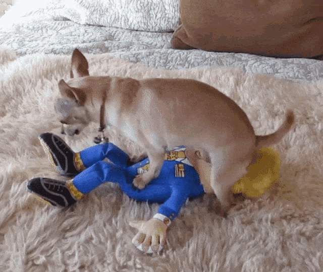 a dog is laying on top of a stuffed toy that has a yellow hat on
