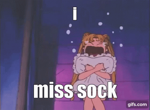 I Miss Sock Sokkusu GIF - I Miss Sock Sokkusu GIFs
