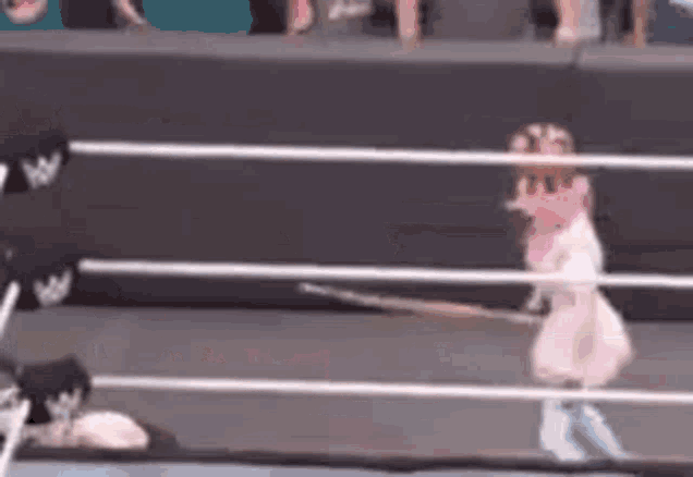 a little girl in a pink dress is standing in a wrestling ring holding a bat .