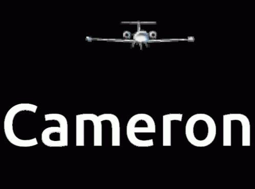 Cameron Plane GIF - Cameron Plane Flying GIFs