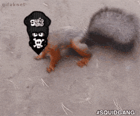Squid Squad Ski Mask GIF - Squid Squad Ski Mask Squid GIFs