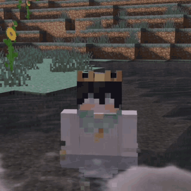 a minecraft character is wearing a crown and a white dress