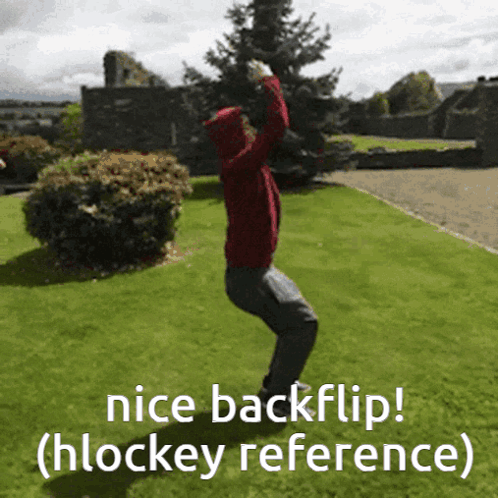 Hlockey Nice Backflip GIF - Hlockey Nice Backflip Backflip GIFs