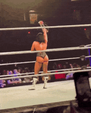 a woman in a bikini is standing in a wrestling ring holding a rope