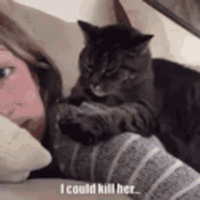 Cat Meme GIF - Cat Meme Pet GIFs