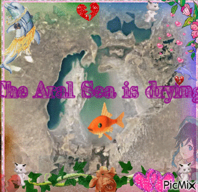 a picture of a dolphin and fish with the words the aral sea is drying