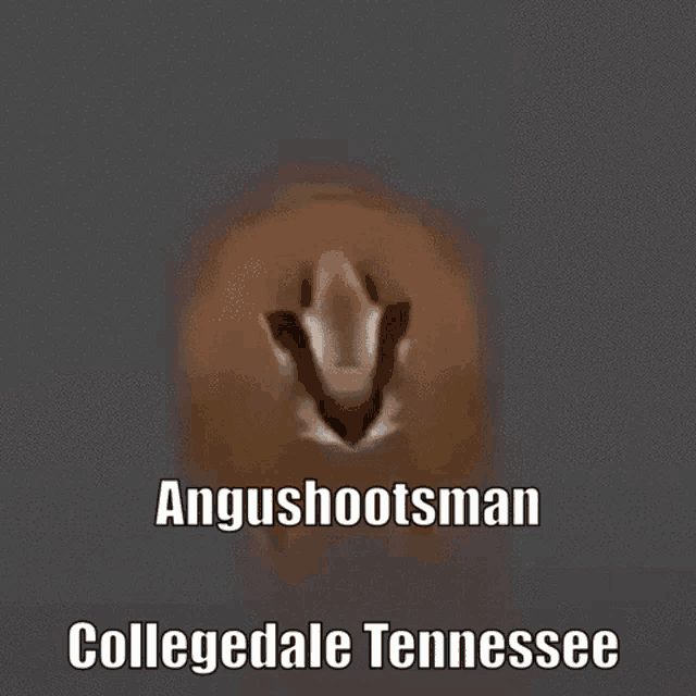 a picture of a horse 's head with the words angusshootsman collegedale tennessee below it