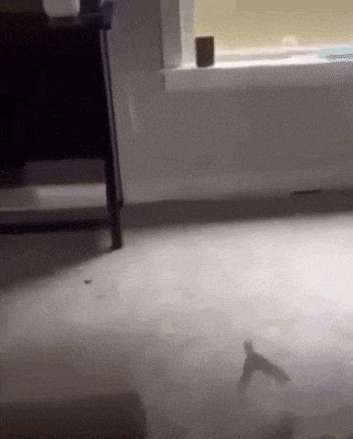 a shadow of a person is casting on the floor in front of a window .