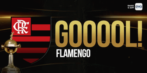 Goool Flamengo GIF - Goool Flamengo Clube De Regatas Do Flamengo GIFs