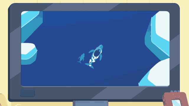 a tv screen shows a cartoon of a dolphin in the ocean