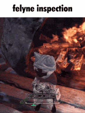 a screenshot of a video game with felyne inspection written on the bottom