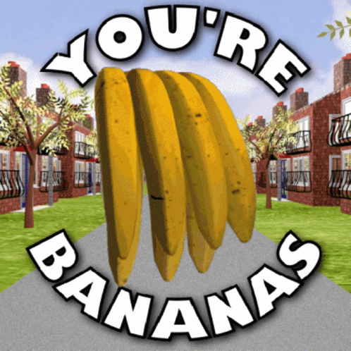 Youre Bananas You Are Bananas GIF - Youre Bananas You Are Bananas Irrational GIFs