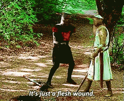 Flesh Wound GIF - Flesh Wound Sword GIFs