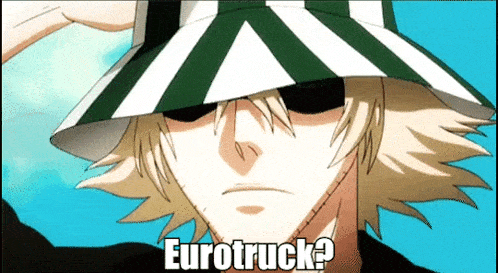 a man wearing a green and white striped hat with eurotruck written below him
