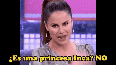 a woman with a ponytail is talking on a television show .