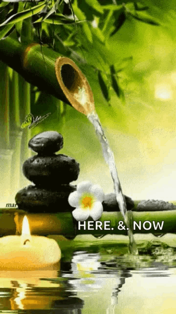 water is pouring from a bamboo pipe into a pool of rocks and a candle
