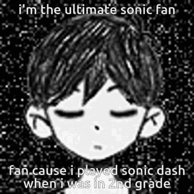 i 'm the ultimate sonic fan because i played sonic dash when i was in 2nd grade