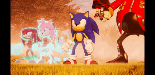 sonic the hedgehog is standing in a field with amy rose and knuckles