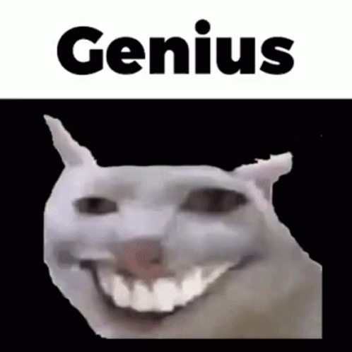 Catcrack Genius GIF - Catcrack Genius Meme Cat GIFs