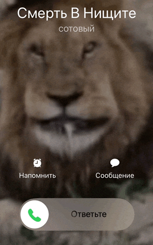 a phone screen shows a lion and the words " смерть в ницците " on the top