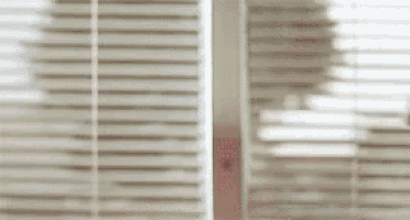 a person is standing in front of a window with blinds .