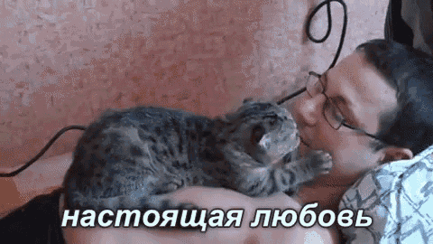 a man with glasses is kissing a cat on the cheek