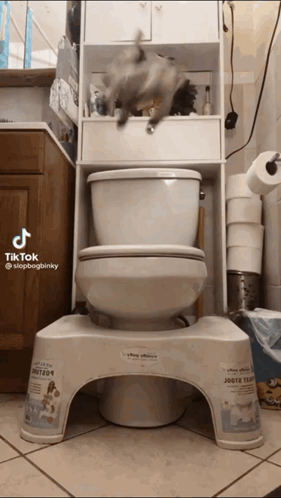 Donkey Shrek GIF - Donkey Shrek Toilet GIFs