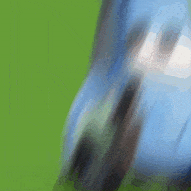a blurry picture of a person walking on a grassy field