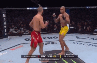 two men are fighting in a boxing ring with the ufc logo on the corner