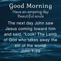 a quote from john 1:29 that says good morning