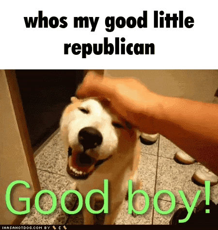 a person petting a dog with the words " whos my good little republican good boy "