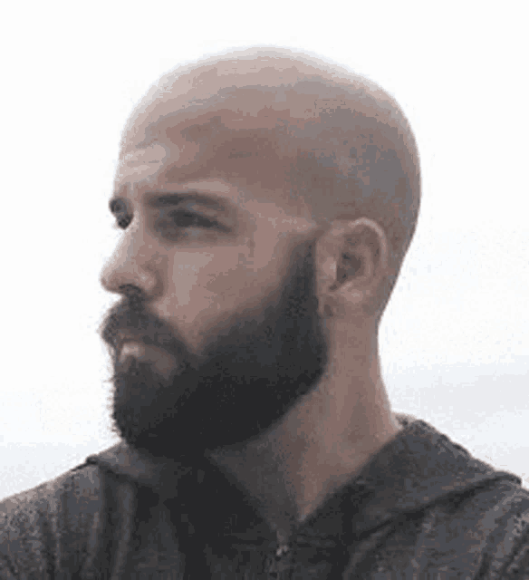 a man with a beard and a bald head is wearing a gray hoodie .