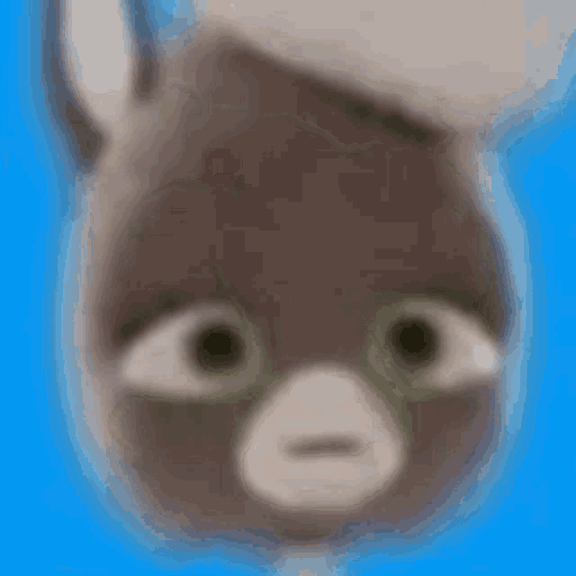 a close up of a stuffed animal 's face with a hat on a blue background .
